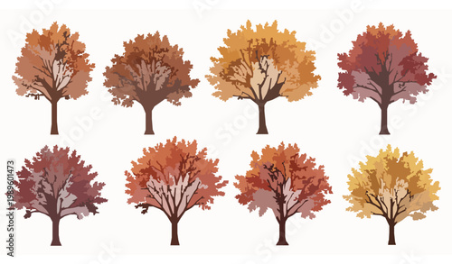 Vibrant autumn trees vector illustration with detailed fall foliage isolated on white background for nature and seasonal design