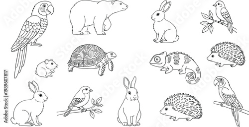 Collection of minimalist line art animals including parrots polar bear rabbit tortoise and hedgehog for wildlife concept vector.