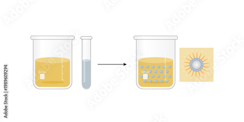 Emulsion, a mixture of two immiscible liquids (oil and water) in beakers, Emulsion water in oil, Immiscible liquids. Emulsification, emulsifier. isolated on white background. Vector illustration.