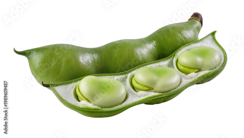 Tablou pe pânză Isolated fresh broad bean pods, one whole and one opened with three fava beans i