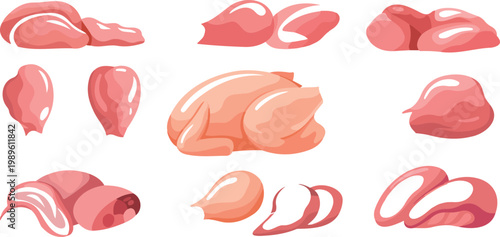 Set of fresh raw chicken meat vector illustrations including whole poultry breast fillets drumsticks and thighs for butcher shop menus culinary recipes and organic food market branding projects.