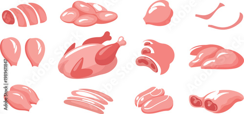Collection of raw chicken meat vector illustrations featuring whole poultry breast fillets thighs and drumsticks for butchery shop menus cooking recipes and fresh food market branding.