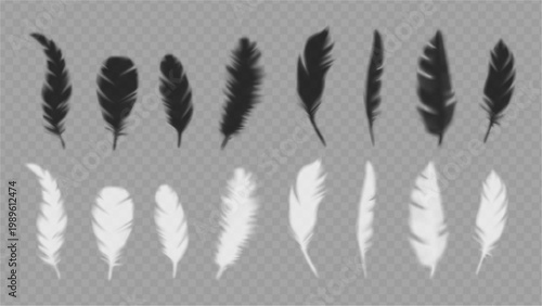 Soft feathers and shadows. Fluffy plumelets from wings of avian animals. Realistic bird plumage in with gentle curves. Vector branding, artistic design and modern decorative composition elements