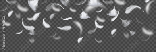 Soft feather falling, floating quills background. Weightless plume drifting through space. Creative surface design. Vector realistic decorative backdrop with tranquil mood and graceful balance
