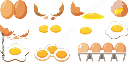 Fresh chicken egg vector illustration set featuring whole eggs cracked shells fried eggs and yolk for cooking and breakfast food design