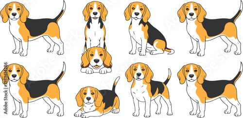 Cute beagle dog vector illustration set featuring various poses including sitting standing and lying down for pet care and animal design