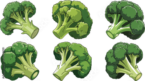 Set of fresh green broccoli florets vector illustrations featuring healthy organic vegetable icons for culinary designs food menus and vegan lifestyle branding.