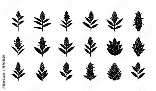 Wheat and Grain Icon Set Featuring Cereal Plants, Agriculture Crops, Farm Harvest Symbols and Organic Food Elements for Farming and Natural Design Projects