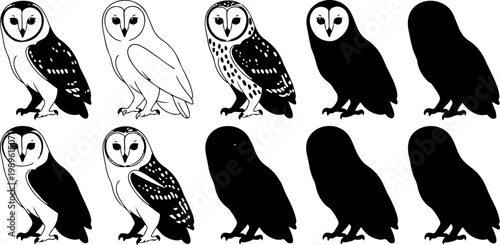 Barn owl vector illustration set featuring detailed line art bird silhouettes and nocturnal wildlife characters for nature and halloween design