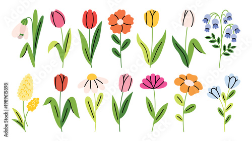 Cute set of flowers. Minimalistic icons of tulips, chamomile, snowdrop, peony, bellflower.  Simple stickers of plants for creating greeting cards, posters, invitations, social media, covers, patterns.
