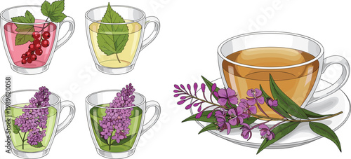 Herbal Tea Collection with Glass Cups of Berry Mint Lilac Flower and Fireweed Tea with Saucer Flat Vector Illustration Set