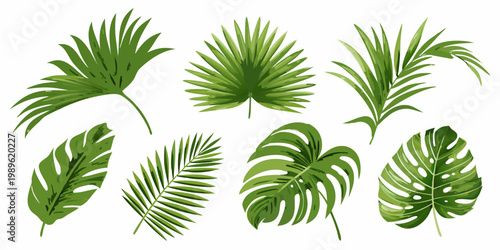 A vibrant collection of tropical leaves in varying shapes and shades