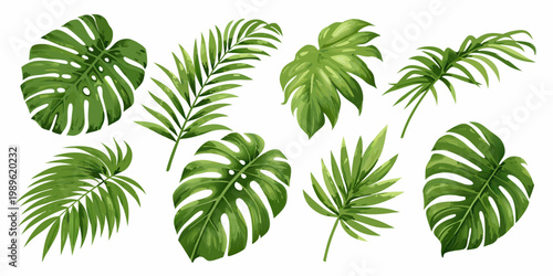 A vibrant collection of diverse tropical leaves against a white background
