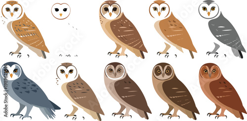 Barn owl vector illustration set featuring detailed line art bird silhouettes and nocturnal wildlife characters for nature and halloween design