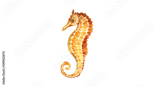 Watercolor Seahorse Coastal Illustration Hand Painted