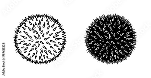 Sea Urchin Hand Drawn Sketch Illustration Set