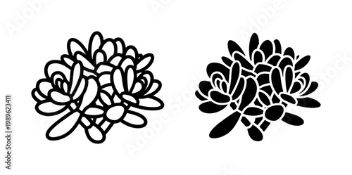 Succulent Plant Silhouette and Outline Vector Illustration