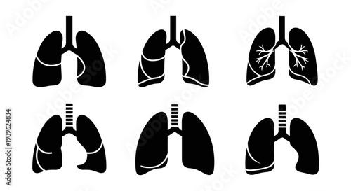 Human Lungs Anatomy Icons Set, Vector Illustration
