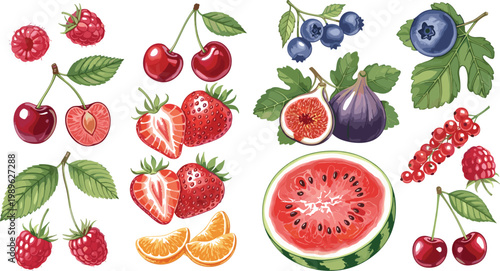 Berry and fruit vector illustration set with strawberry raspberry cherry blueberry fig watermelon and citrus slices fresh colorful collection