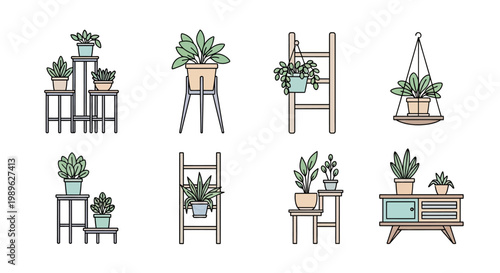 Plant Stands with Various Plants.