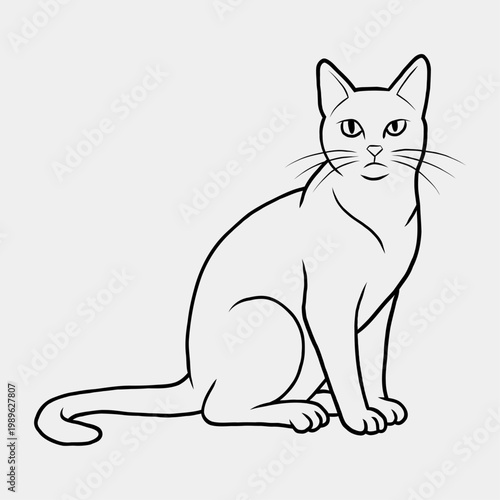 Minimalist Black and White Line Art Illustration of a Sitting Domestic Cat