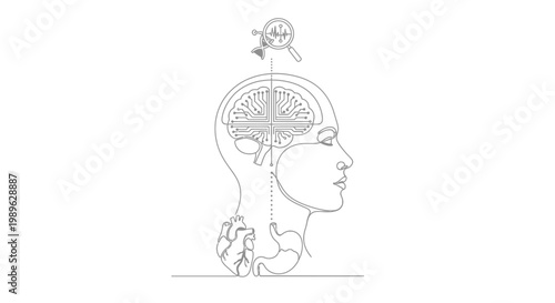 Brain with skull and human head.