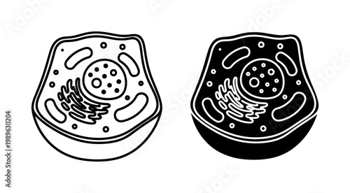 Animal cell anatomy diagram icon set