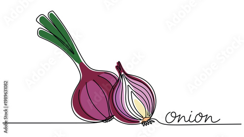 Red onion illustration one line drawing fresh food ingredient.