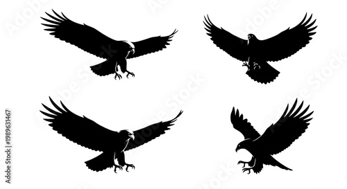 Eagle wings vector logo set with black silhouette birds in flight, spread talons, for wildlife branding and decor