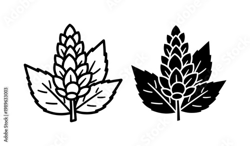 Black and White Hop Cone Botanical Illustration