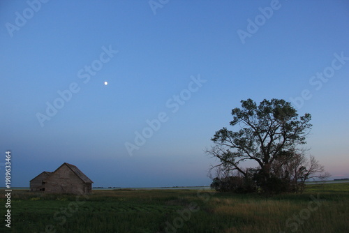 Canvas Print Scenery Just South of Regina Saskatchewan