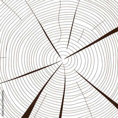 Detailed illustrative depiction showing the concentric growth ring patterns found inside a cross section of a tree trunk presenting rustic natural wood grain textures for creative design projects disp