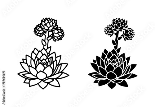 Succulent Sempervivum Silhouette and Outline Vector Set