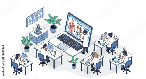 Medical students and researchers collaborating on anatomical studies using laptops and giant screen showing human body.