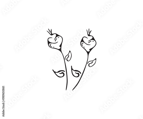 I create vector line rose flowers, thanks for download
