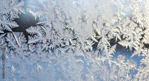Intricate Frost Patterns on Window Glass in Winter Sunlight