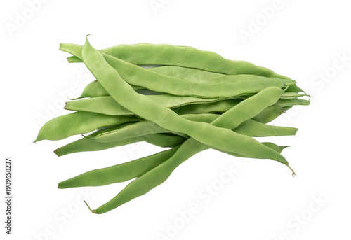 Phaseolus coccineus flat green pods