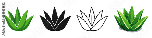 Aloe Vera Plant Icons