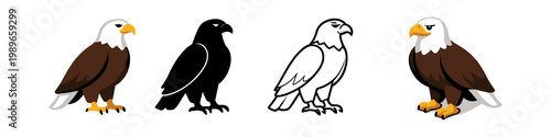 Eagle Icons Collection