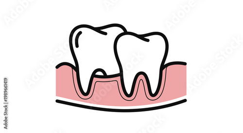 Healthy Human Teeth and Gums Illustrating Dental Health and Oral Care on Isolated White Background