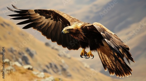 Golden Eagle in Flight Soaring Above Mountain Terrain