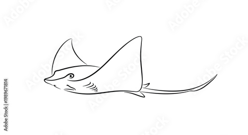 Minimalist black and white line art illustration of a stingray swimming gracefully through the ocean water.