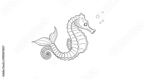Detailed ink drawing of a seahorse with fine lines and bubbles, illustrating underwater life and marine biology.