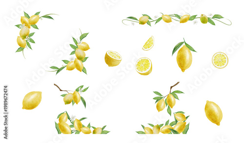 Fotografie Watercolor Lemon Illustrations and Decorative Elements Collection on transparent