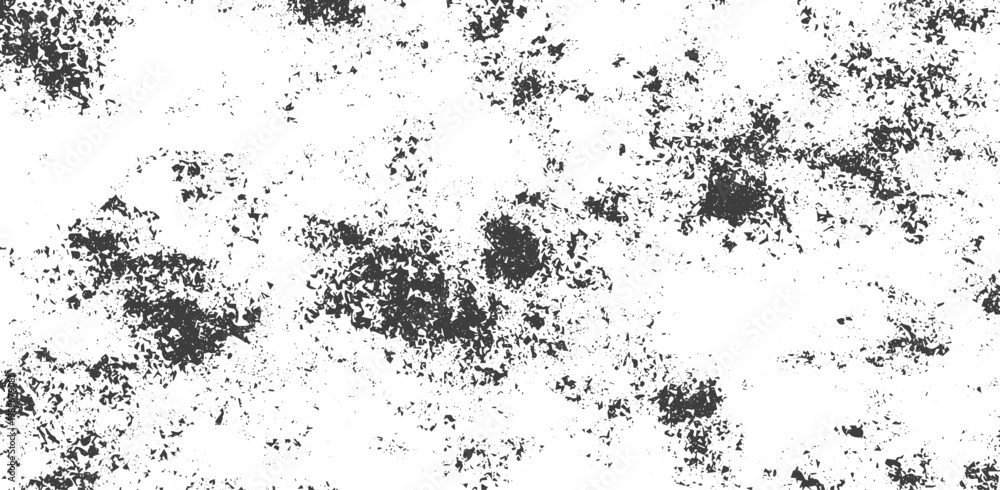 Fototapeta premium Black and White Grunge Distress Texture Background with Scattered Grit Grain and Speckled Particles Vector Illustration