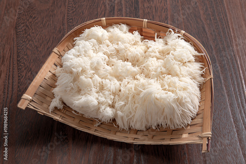 国産の栽培ヤマブシタケ
