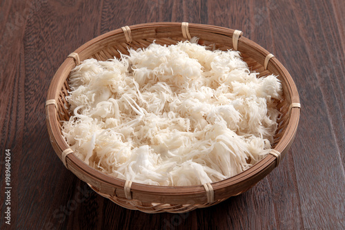 国産の栽培ヤマブシタケ
