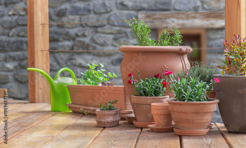 flowers and aromatic plants  potted  on the floor of a wooden terrace in  ter...