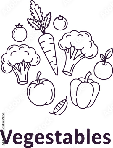 Fresh vegetables assortment in outline style, healthy food ingredients for cooking, vibrant and nutritious organic produce.