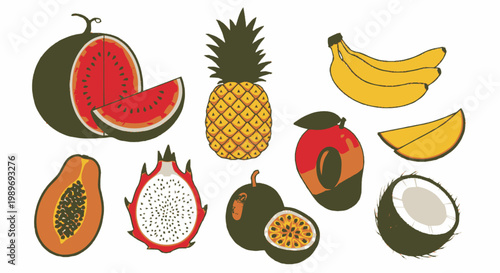 Set of colorful tropical fruits illustration including watermelon, pineapple, banana, mango, dragon fruit, papaya, passion fruit, and coconut isolated on white background.
